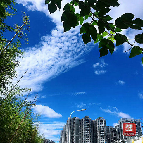 微信图片_20190917163243.jpg