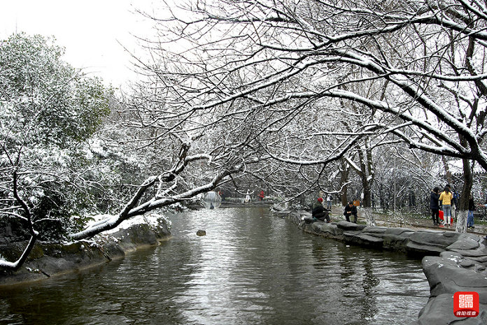 《雪醉》杨松林摄.jpg