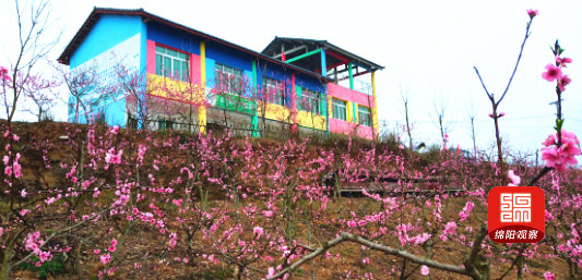 QQ截图20200304142345.jpg