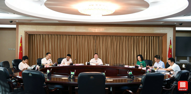 2020年8月24日，政府党组会议  张莉 摄.jpg