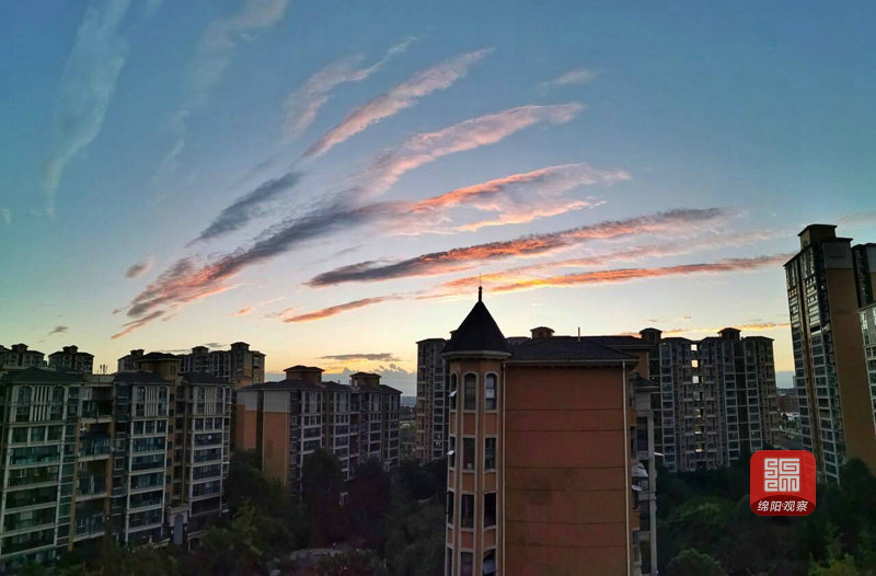 倪天林2.jpg