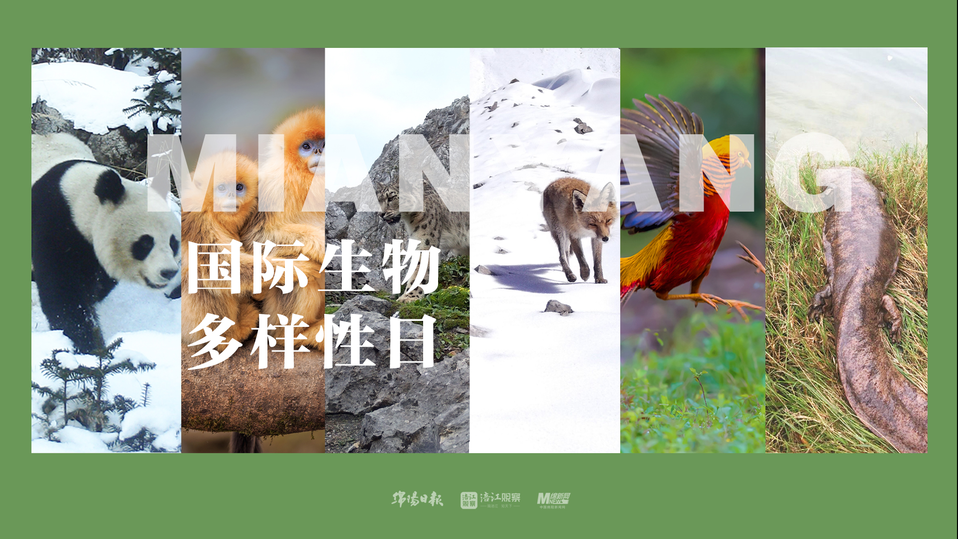 组合.jpg