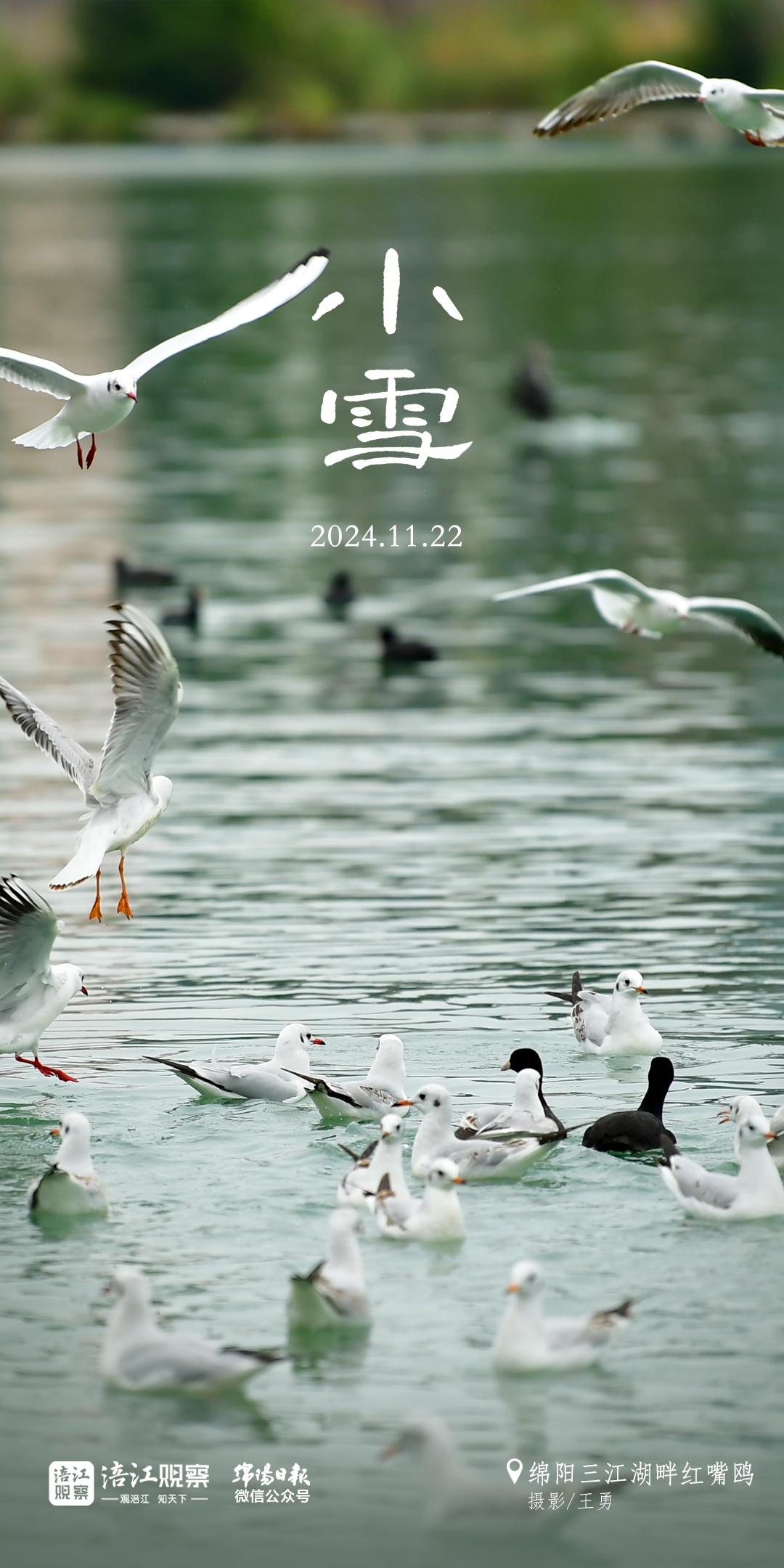 未标题-5+.jpg